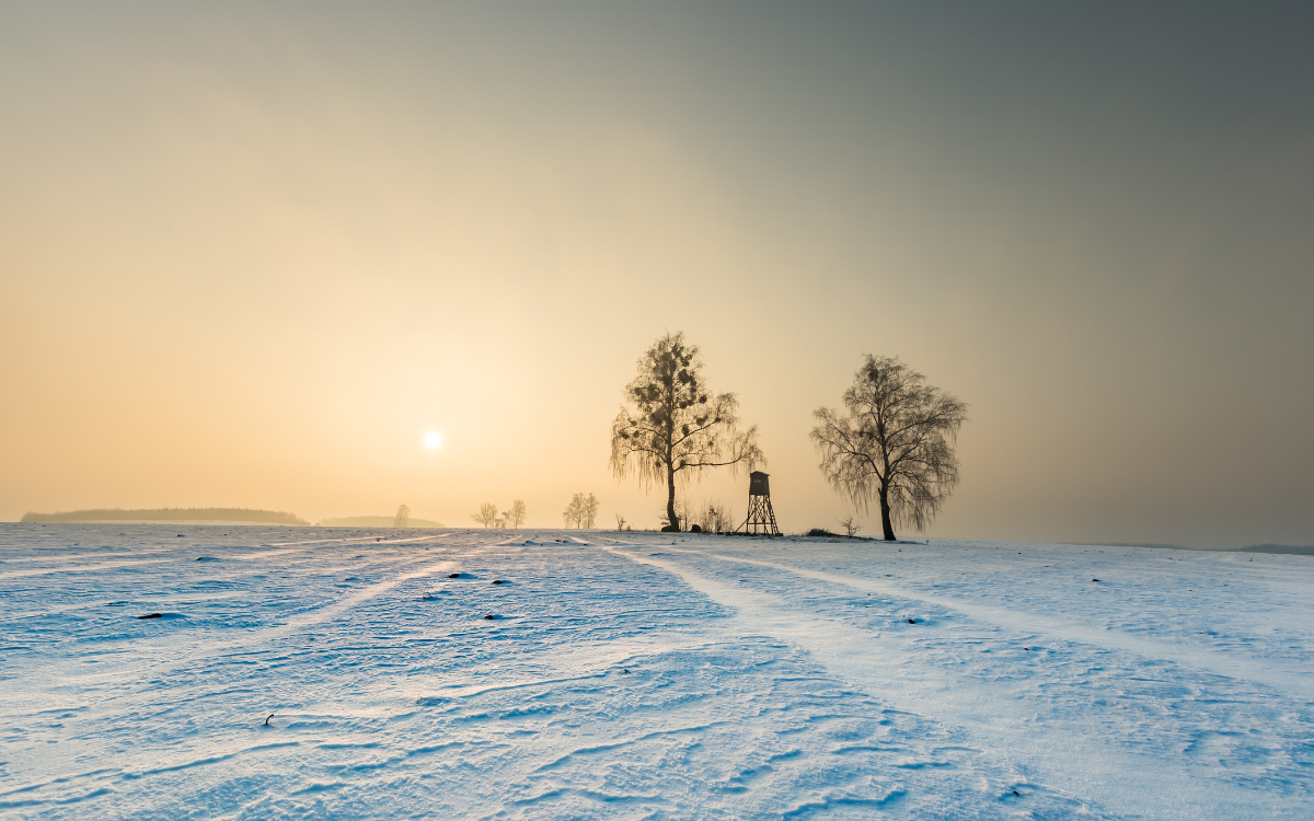 What First-Time Land Buyers in Southern Iowa Often Overlook